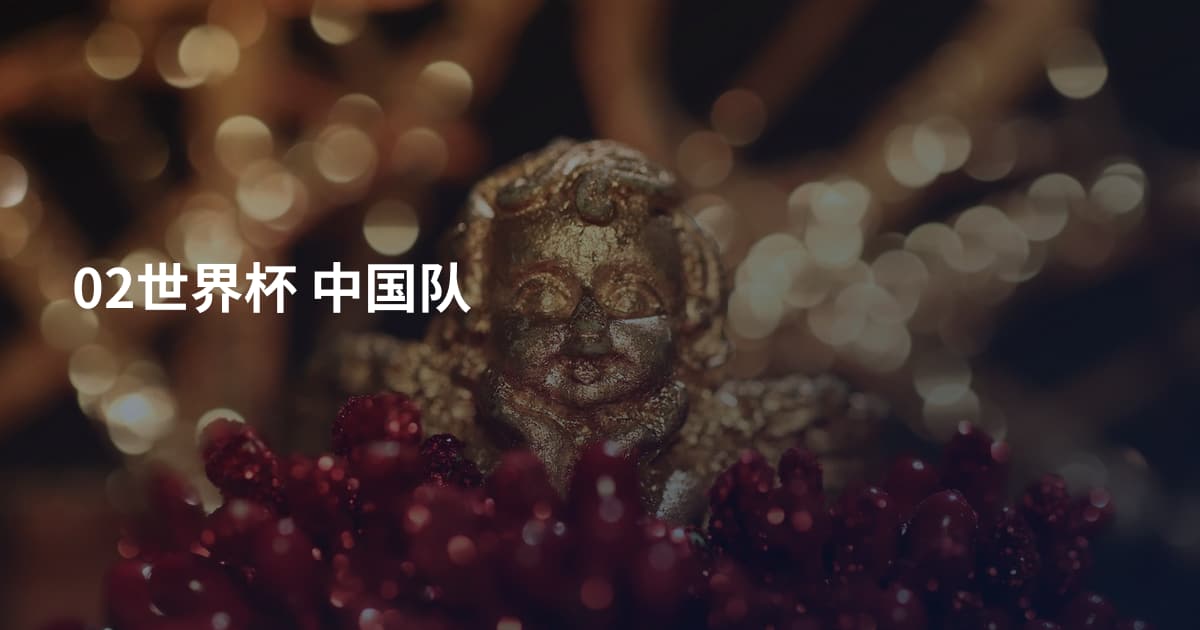 02世界杯 中国队