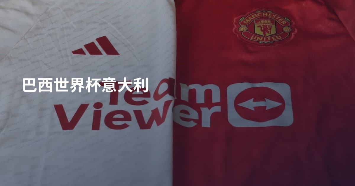巴西世界杯意大利