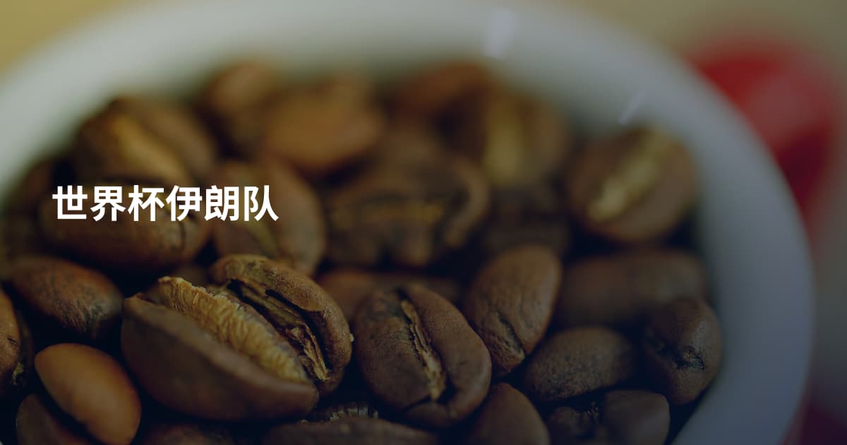 世界杯伊朗队