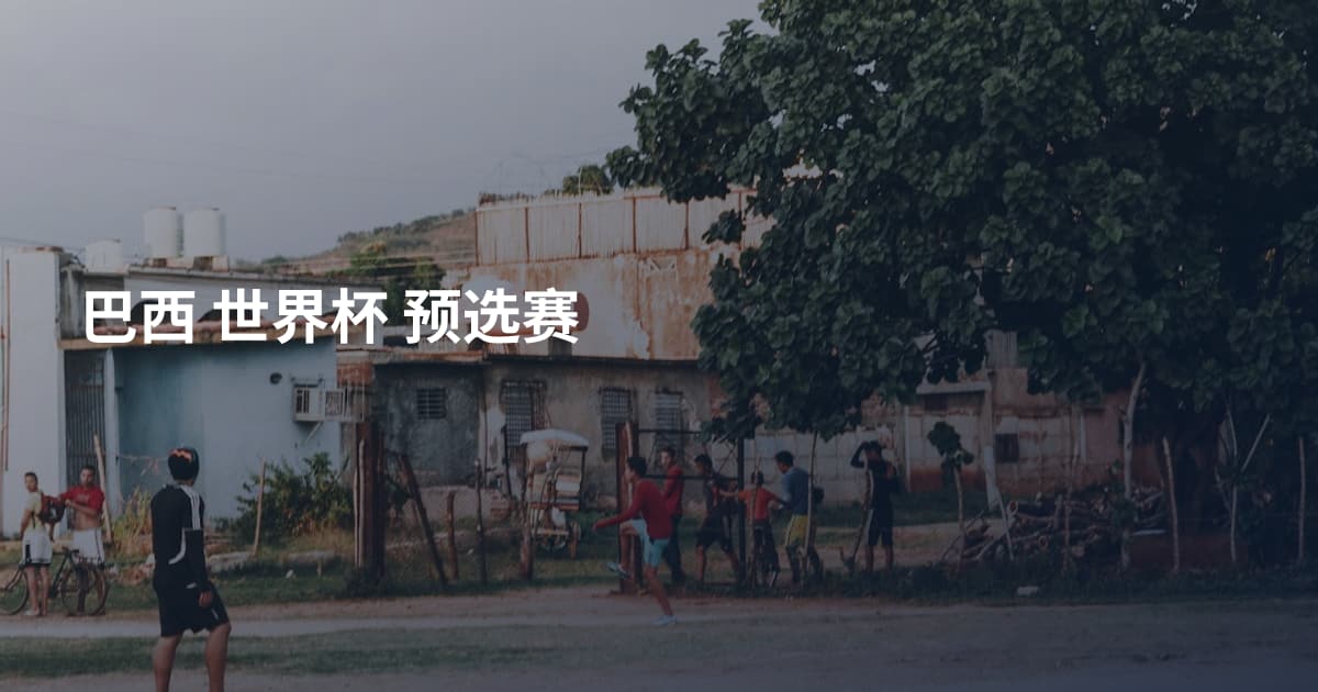 巴西 世界杯 预选赛