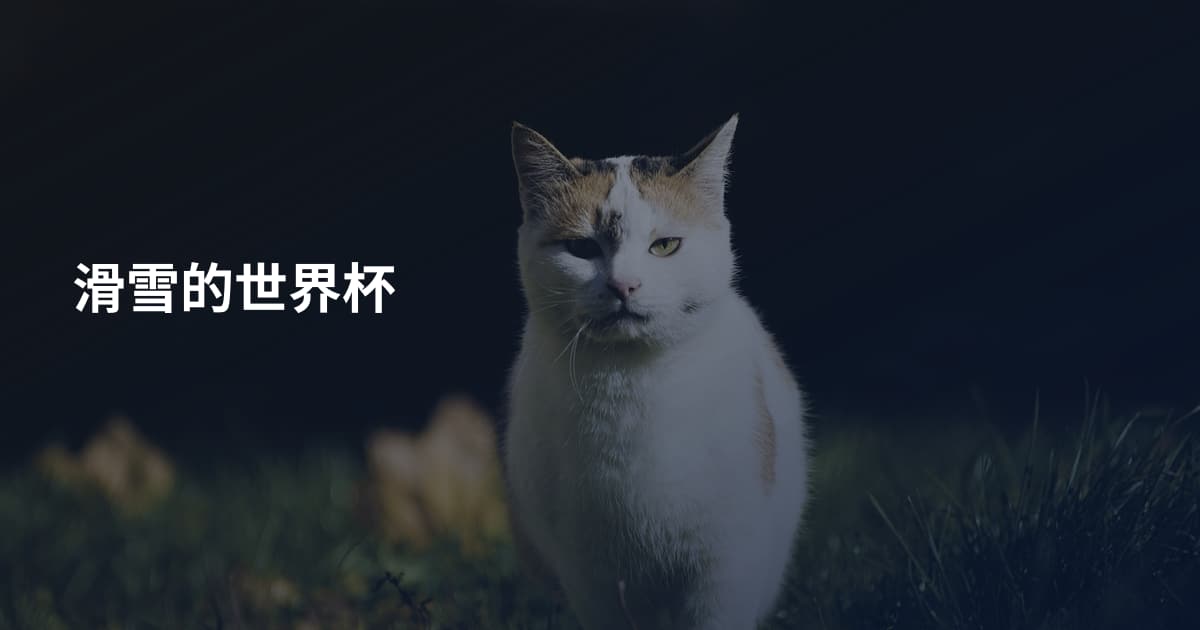 滑雪的世界杯