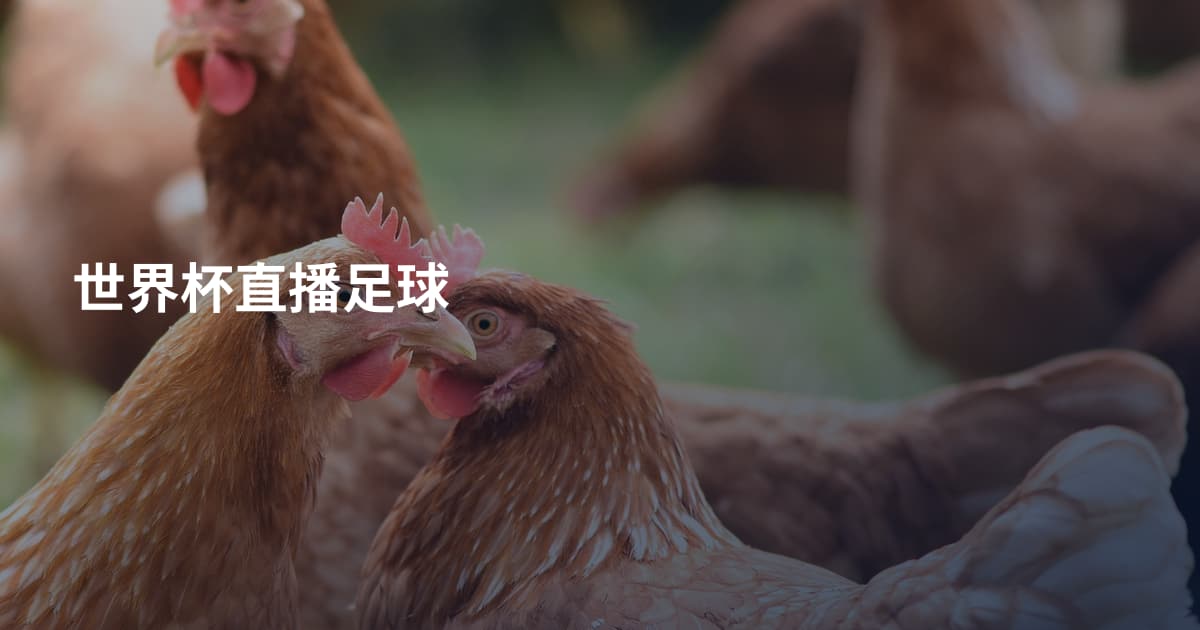 世界杯直播足球