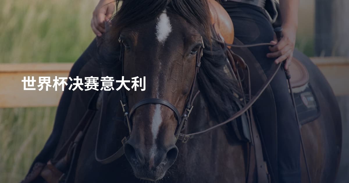 世界杯决赛意大利