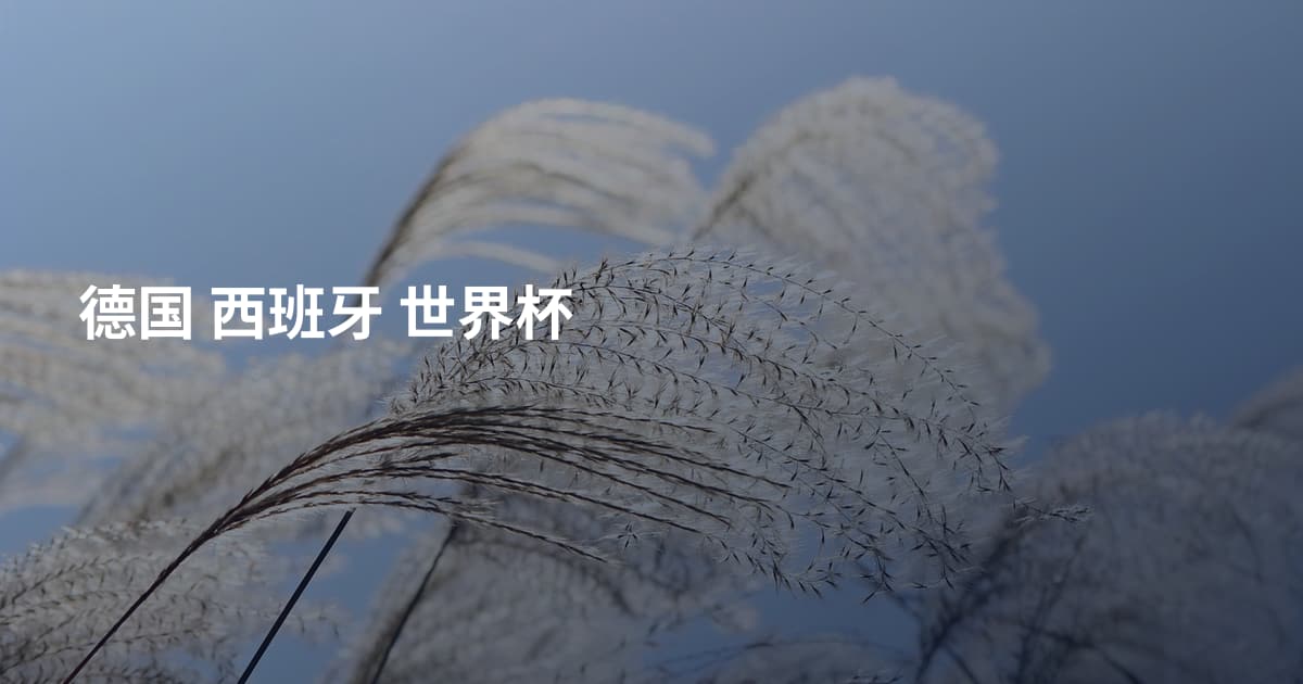德国 西班牙 世界杯