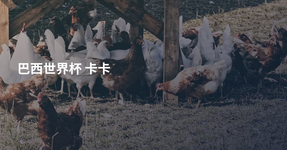 巴西世界杯 卡卡
