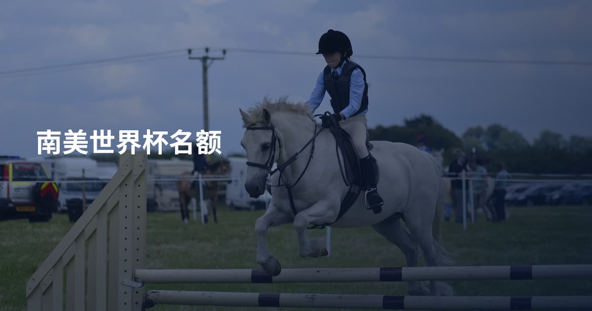 南美世界杯名额