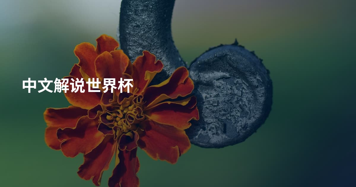 中文解说世界杯