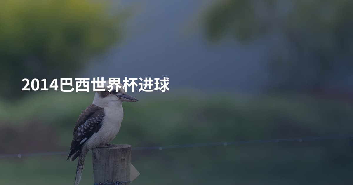 2014巴西世界杯进球