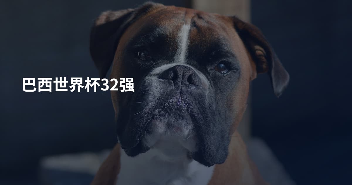 巴西世界杯32强