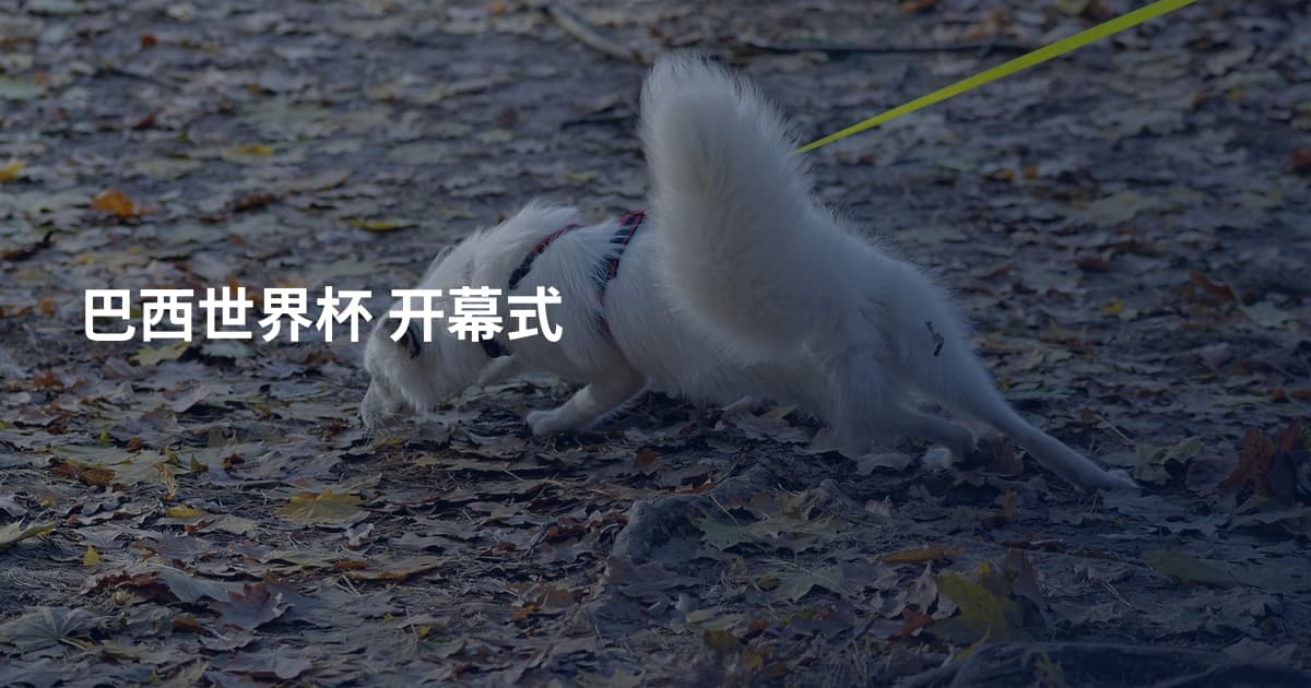 巴西世界杯 开幕式