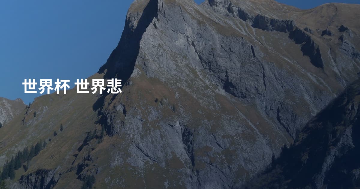 世界杯 世界悲