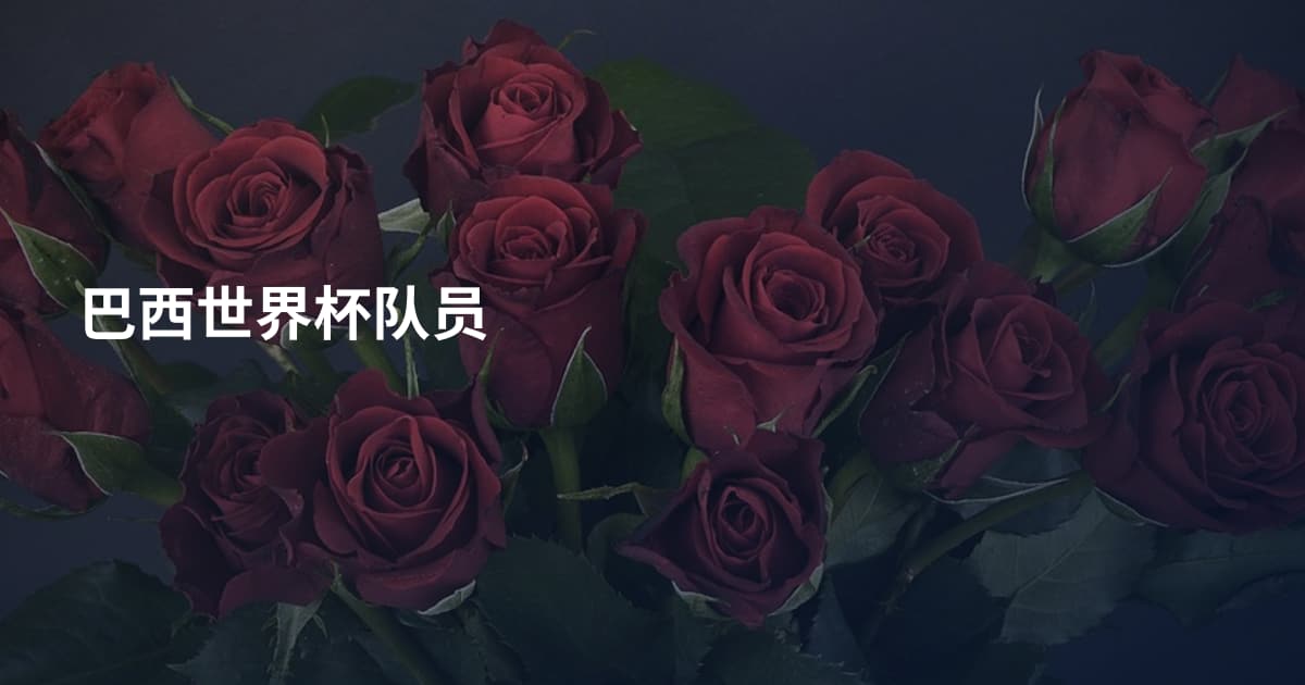 巴西世界杯队员