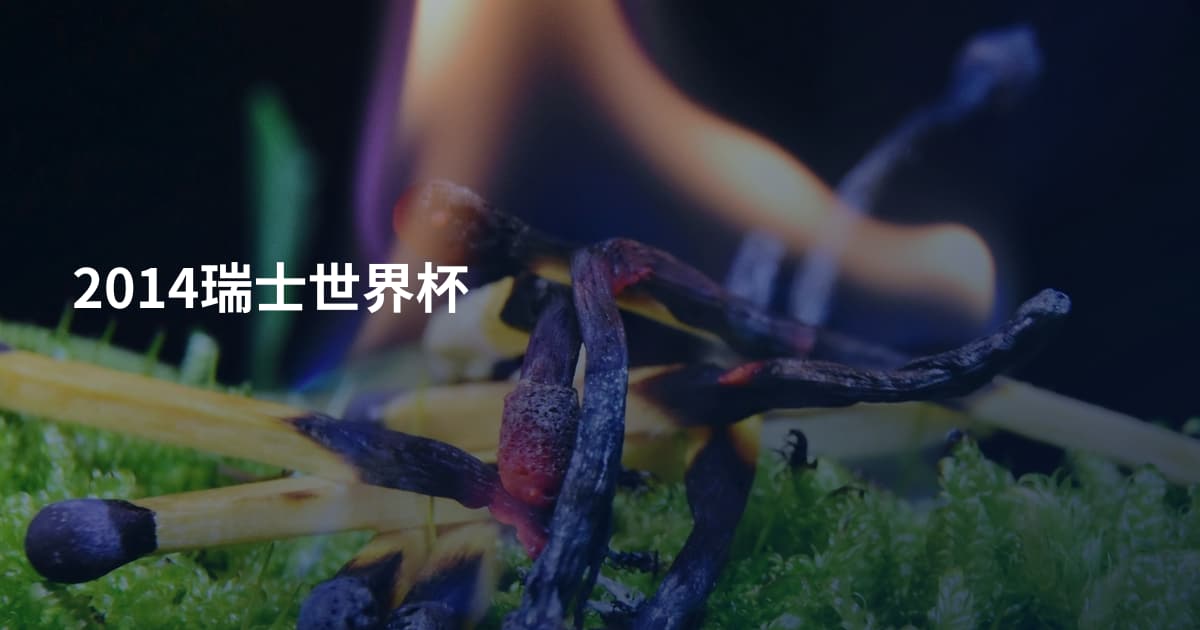2014瑞士世界杯