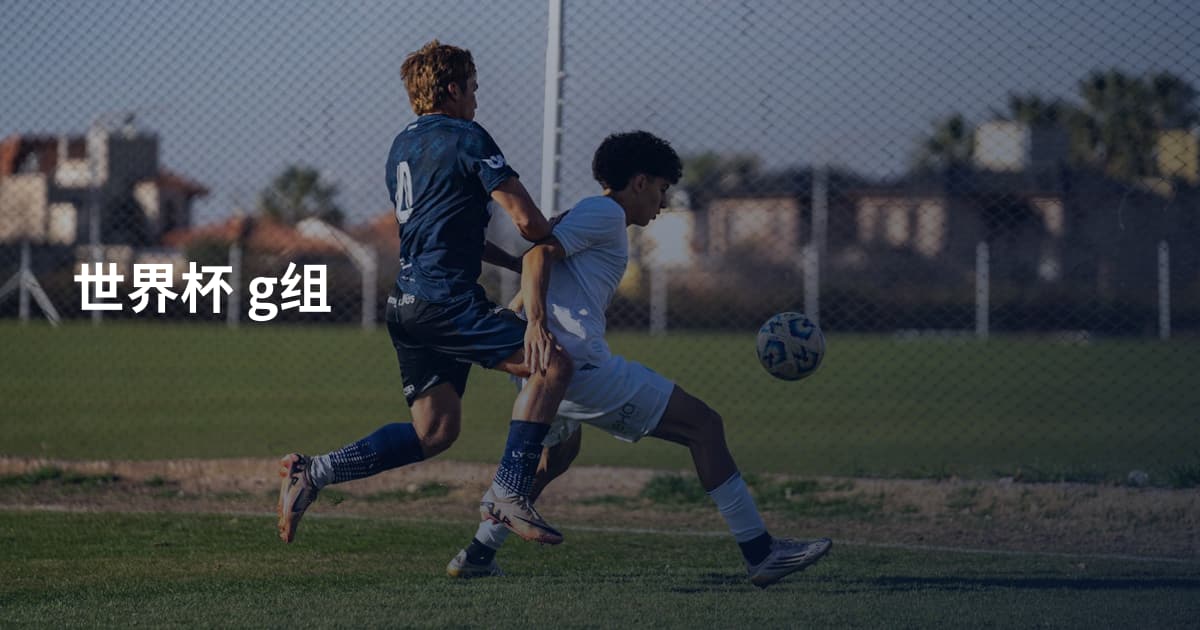 世界杯 g组