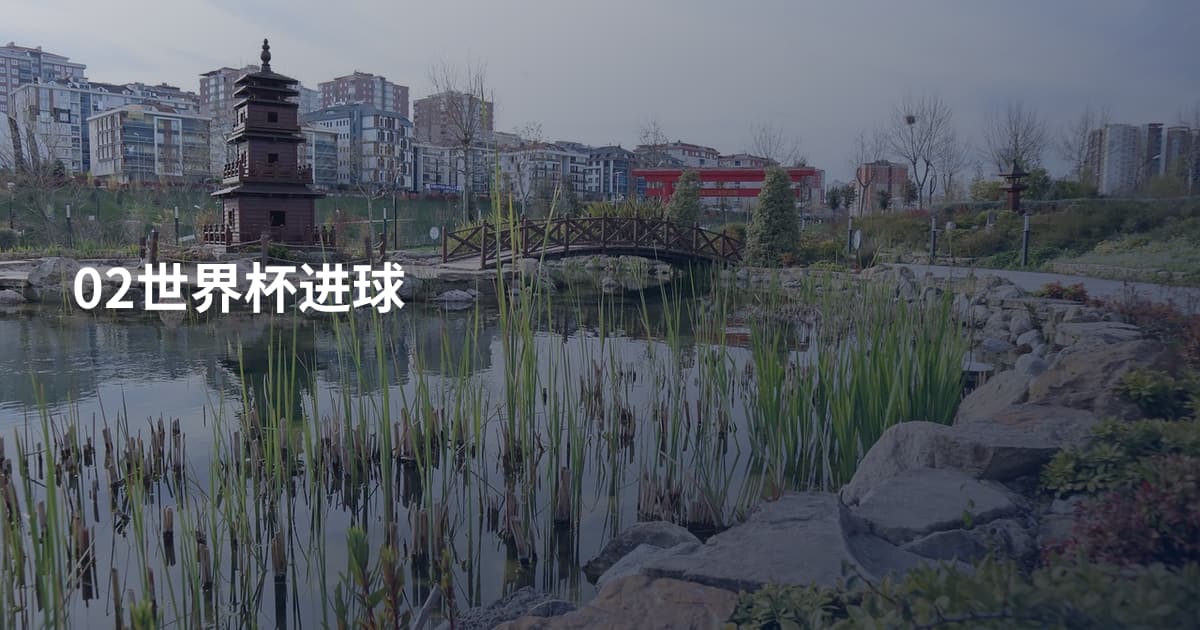 02世界杯进球