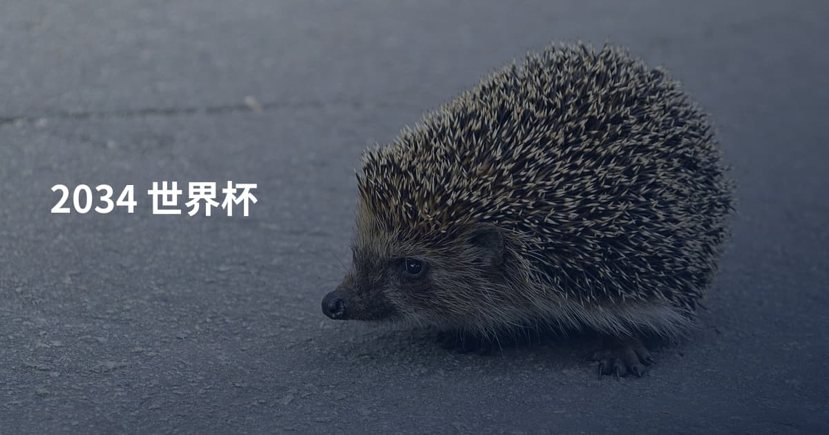 2034 世界杯