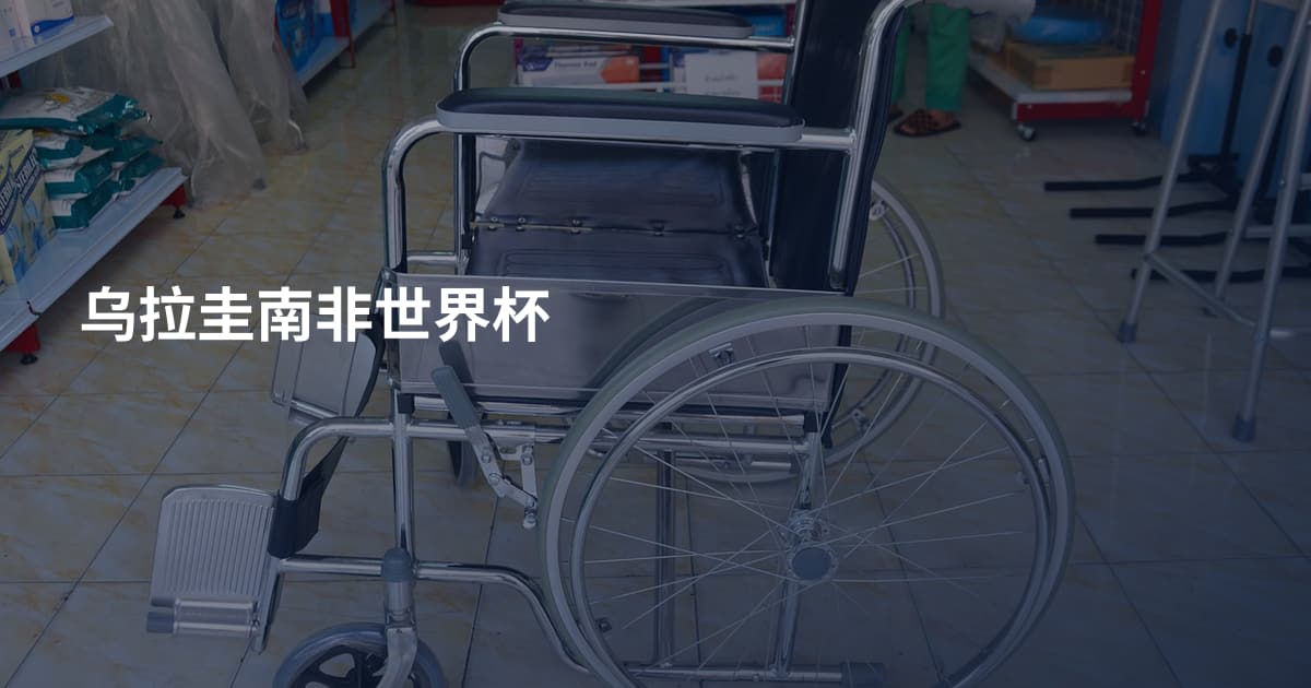 乌拉圭南非世界杯