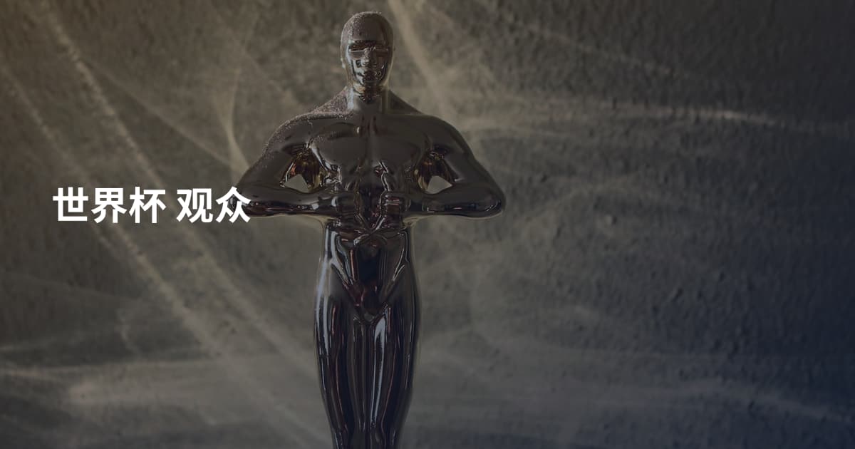 世界杯 观众