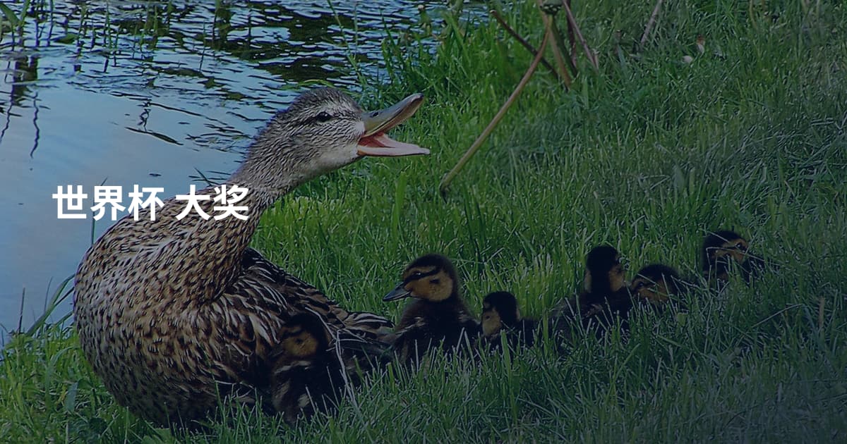 世界杯 大奖