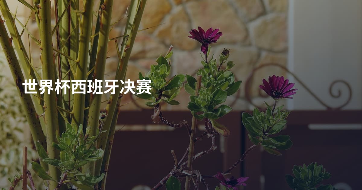 世界杯西班牙决赛