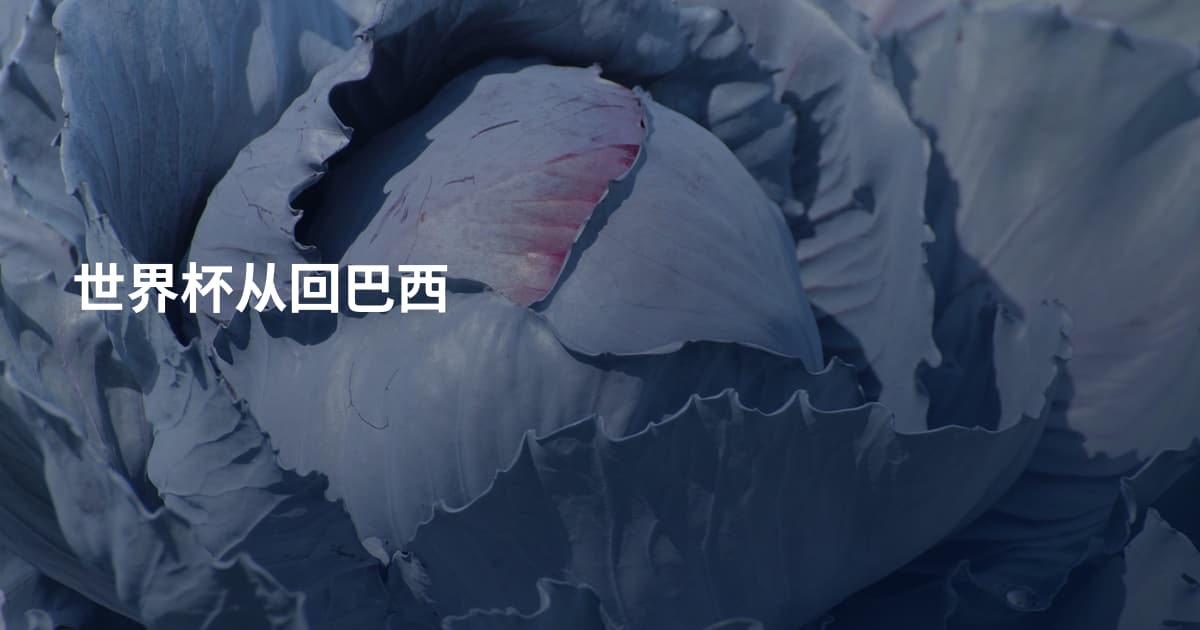 世界杯从回巴西