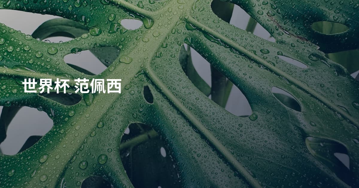 世界杯 范佩西