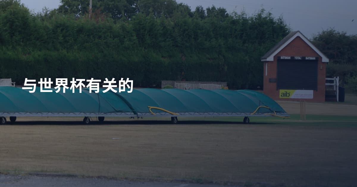 与世界杯有关的