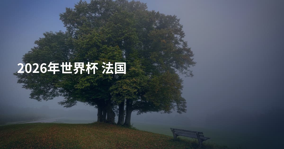 2026年世界杯 法国