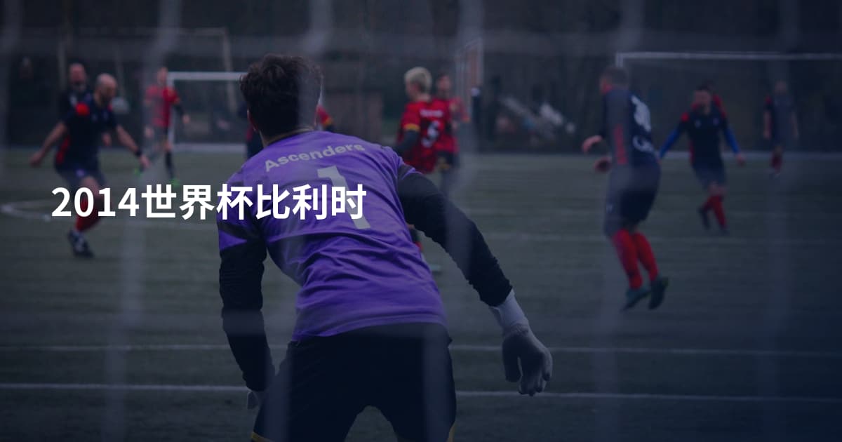 2014世界杯比利时