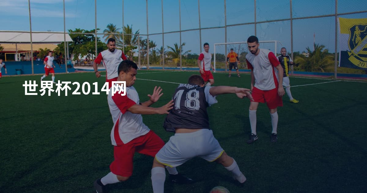 世界杯2014网