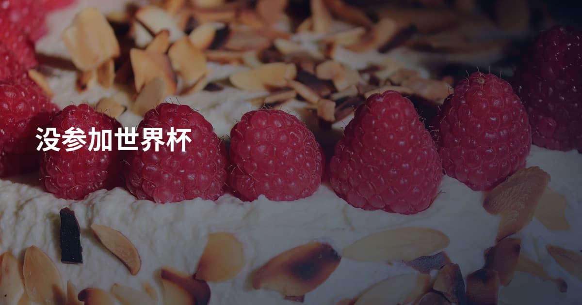 没参加世界杯