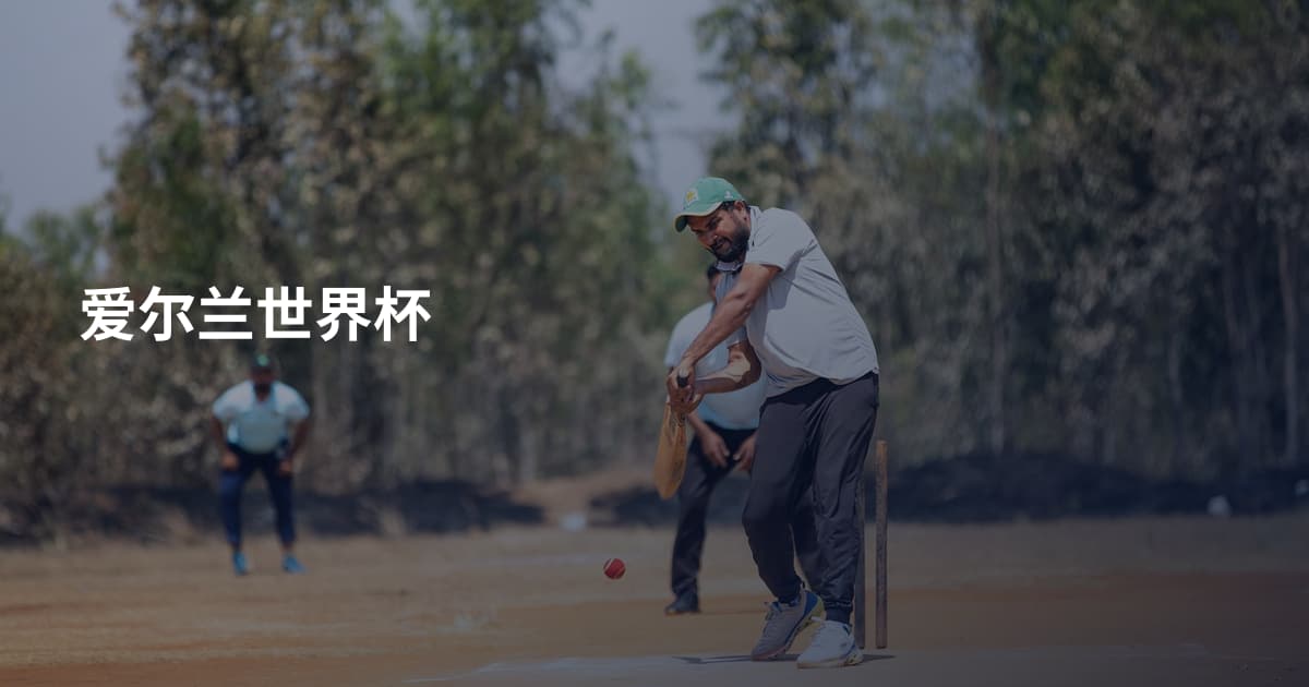 爱尔兰世界杯