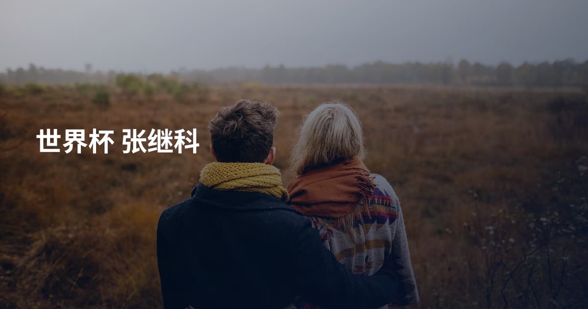 世界杯 张继科