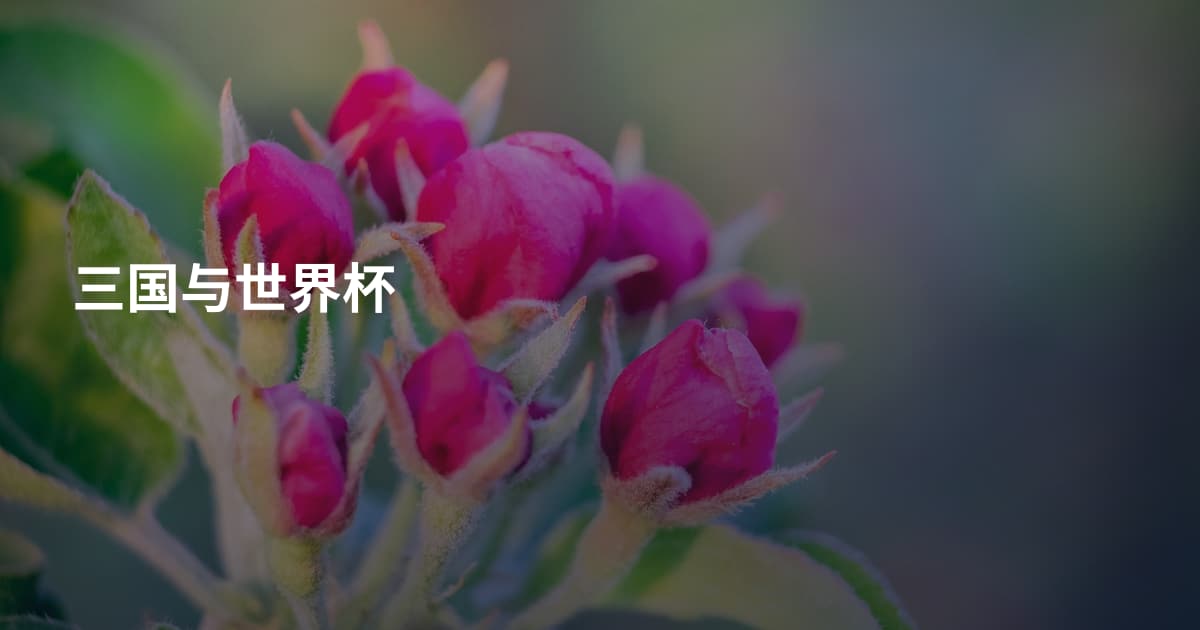 三国与世界杯