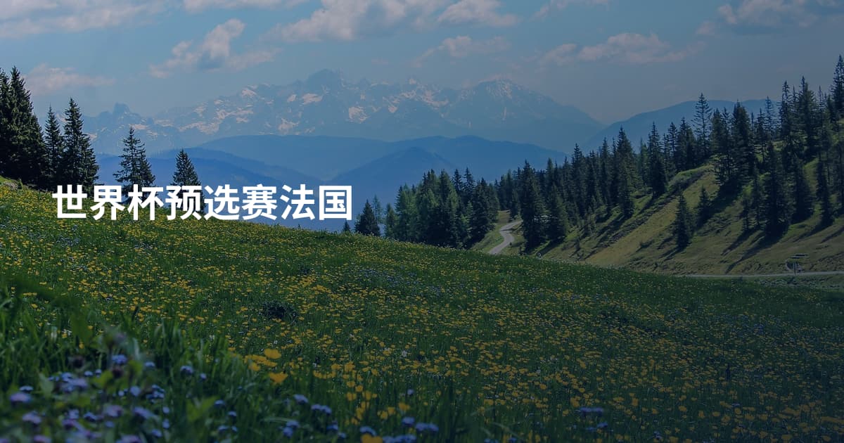 世界杯预选赛法国
