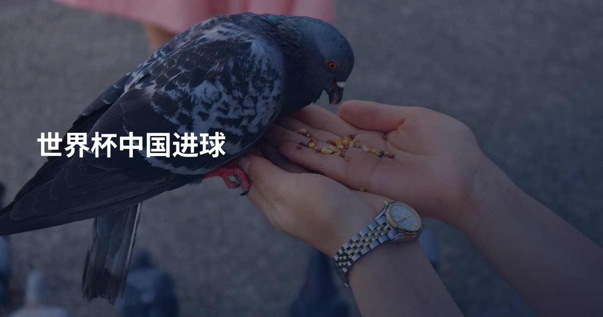 世界杯中国进球