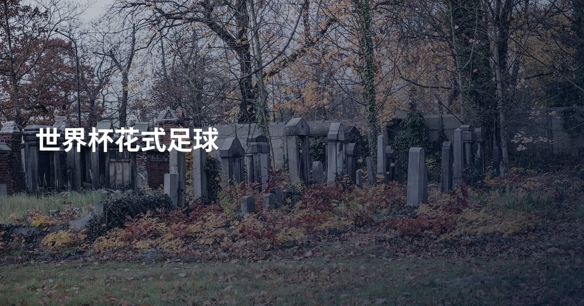 世界杯花式足球