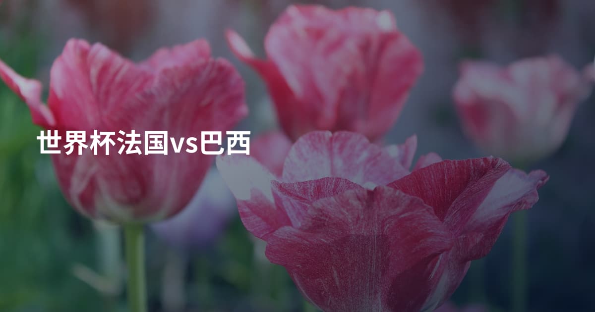 世界杯法国vs巴西