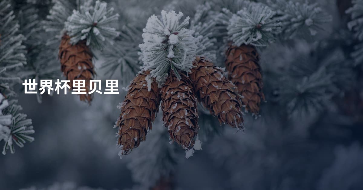 世界杯里贝里