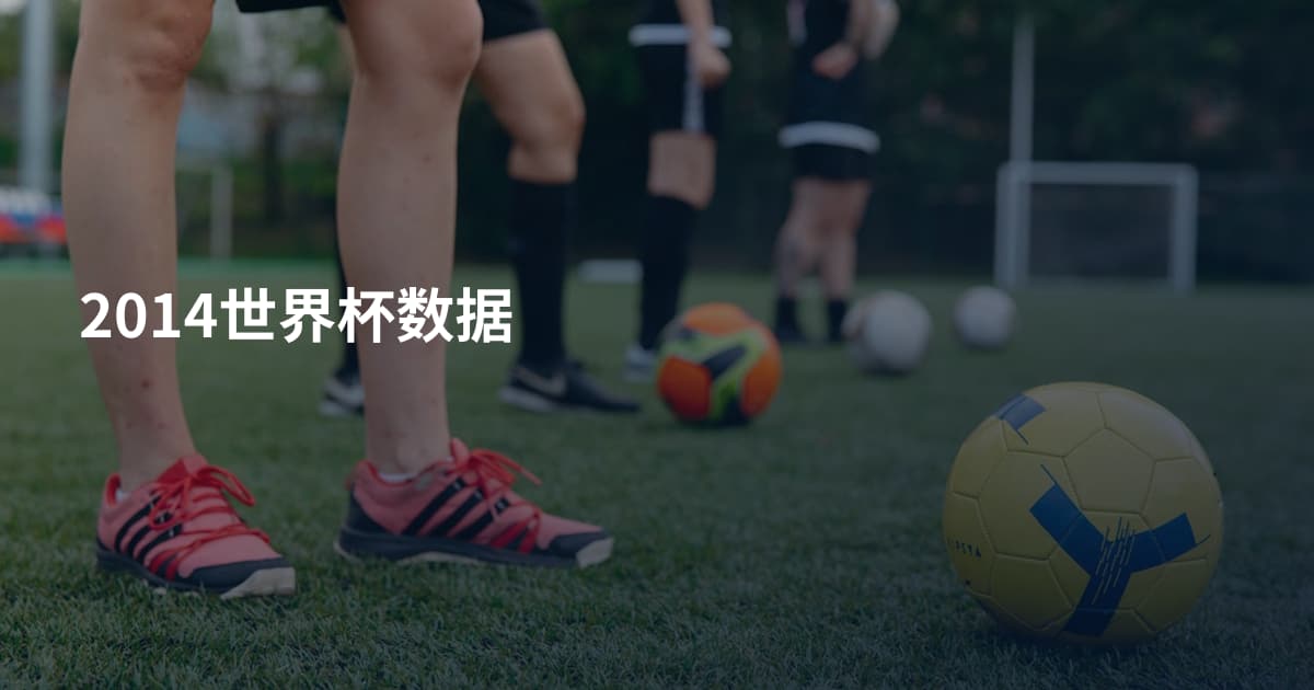 2014世界杯数据