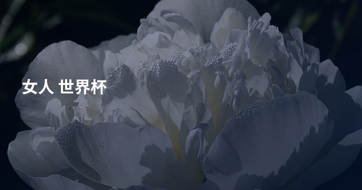 女人 世界杯
