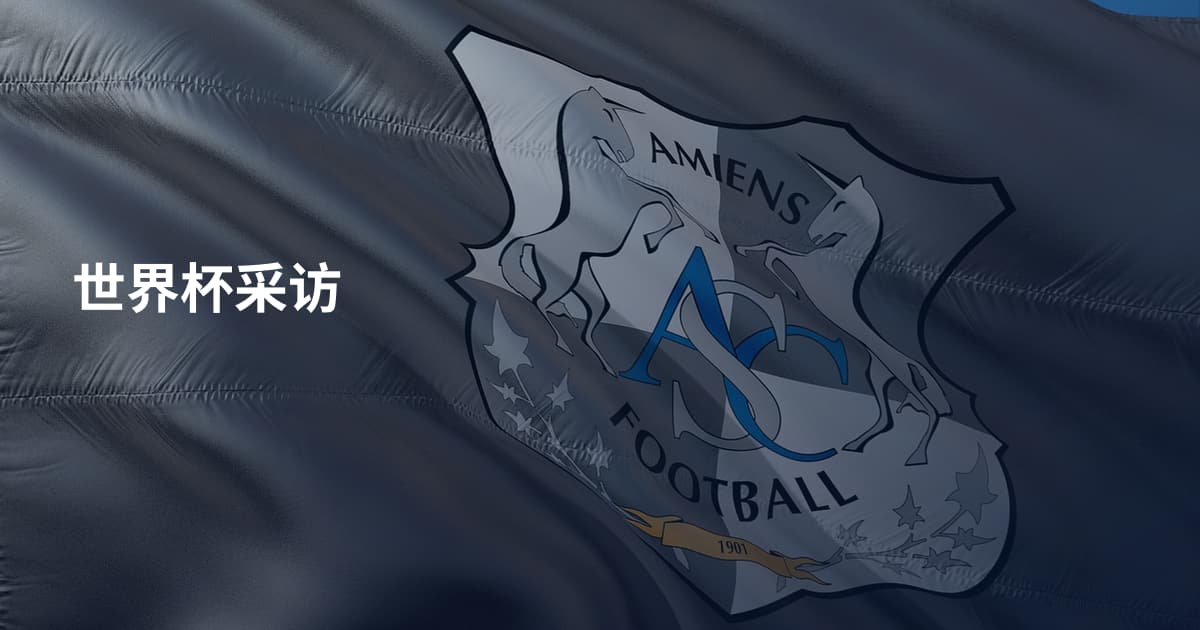 世界杯采访