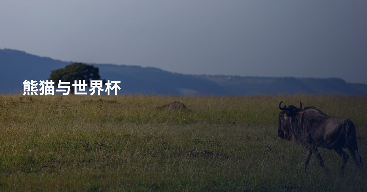 熊猫与世界杯