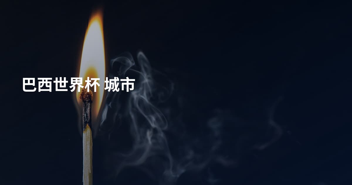 巴西世界杯 城市