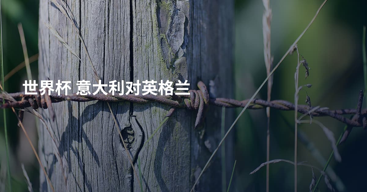 世界杯 意大利对英格兰