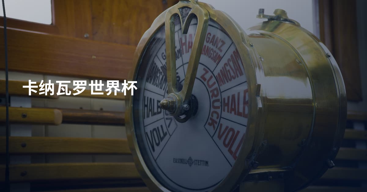 卡纳瓦罗世界杯