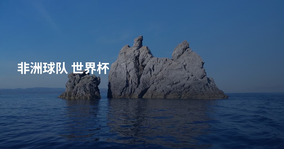 非洲球队 世界杯