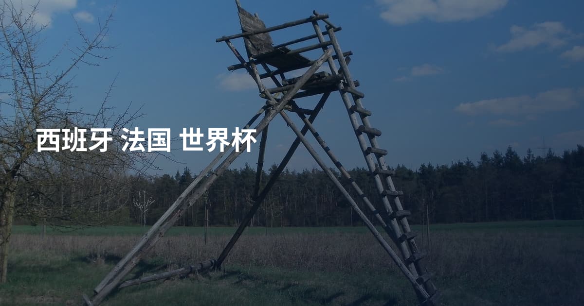 西班牙 法国 世界杯