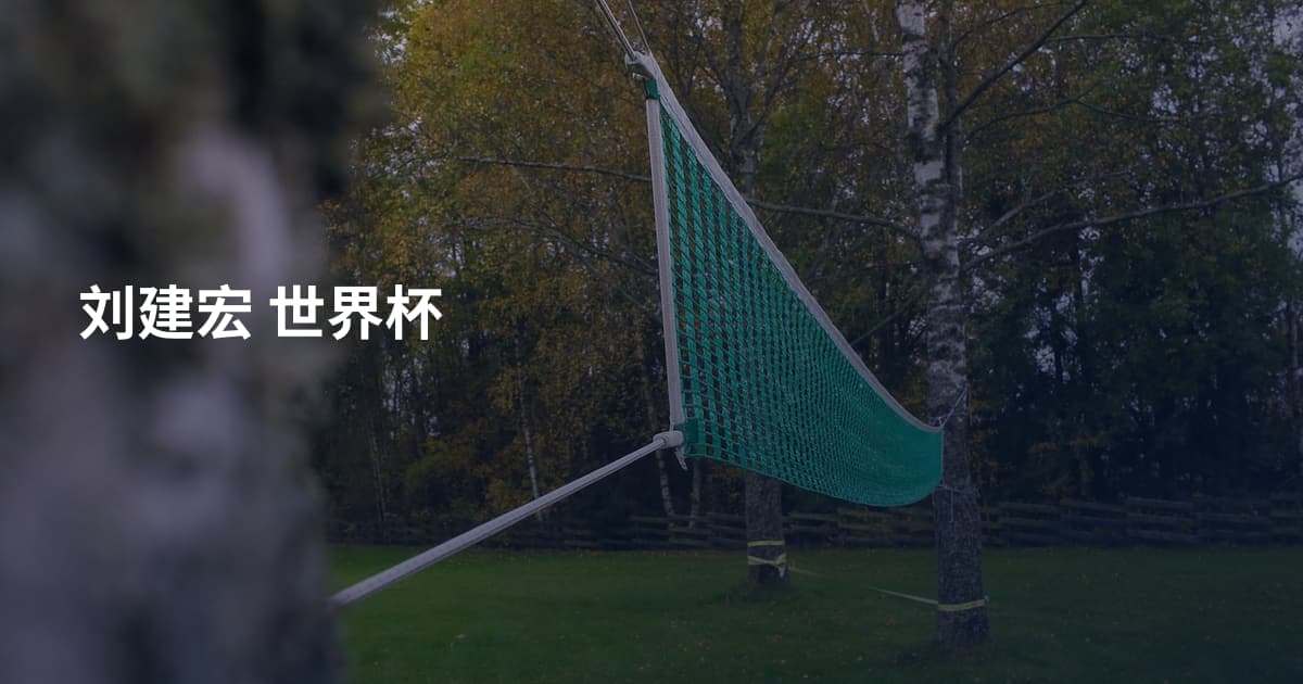 刘建宏 世界杯