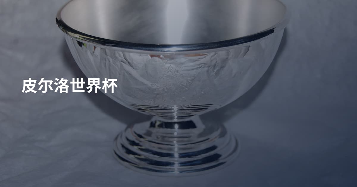 皮尔洛世界杯